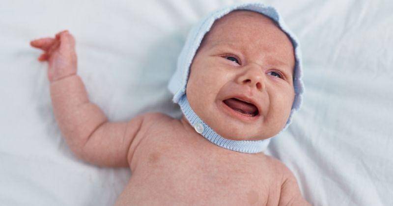 Freepik/krakenimanges.com